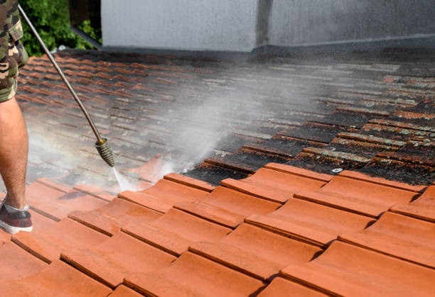 Best Exterior Home Cleaning  in Little Falls, NY