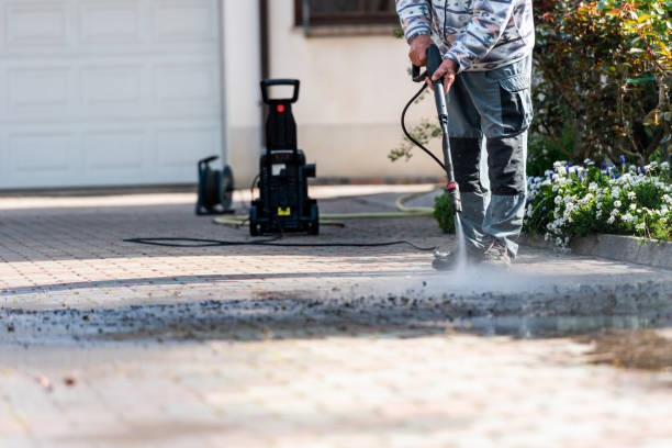 Best Exterior Home Cleaning  in Little Falls, NY